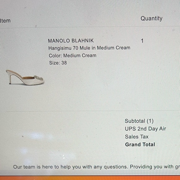 COPY - Manolo Blahnik hangisimu 70 mule - Picture 9 of 9